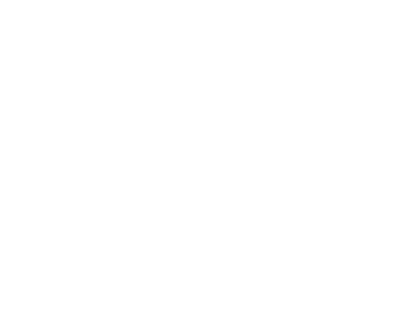 The Tint Lab